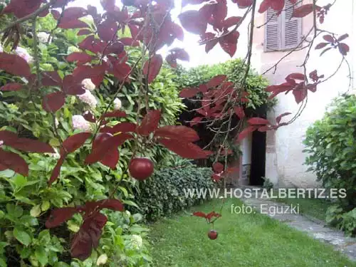 Hostal Bertiz