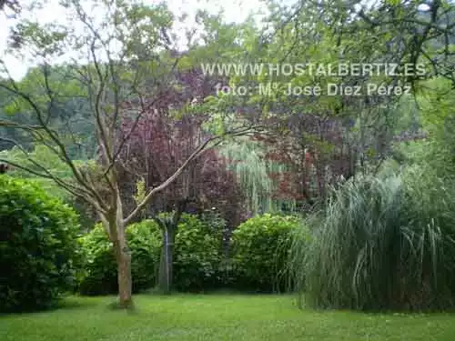Hostal Bertiz